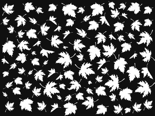 white maple seamless patterns on black background