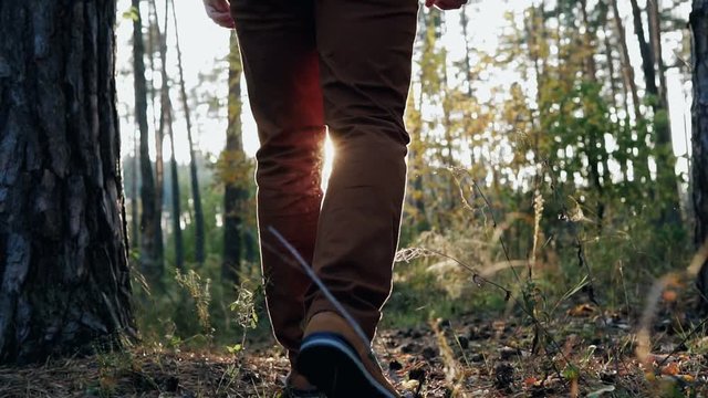 The guy walks in the autumn forest at sunset. Slow motion