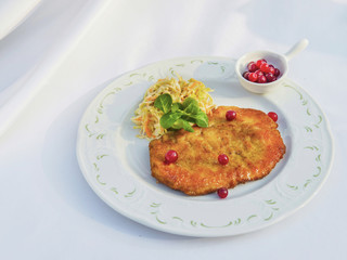 Czech Schnitzel