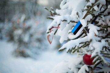 Estonia flag. Christmas background outdoor. Christmas tree covered with snow and decorations and...