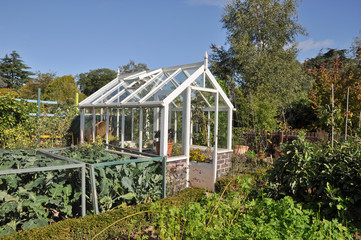 Perfect small greenhouse takes pride of place in English garden.