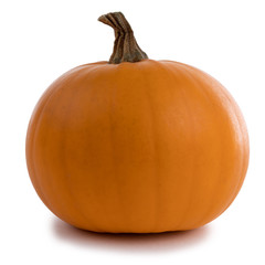 One orange pumpkin