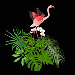 A composition of tropical plants, palm leaves