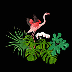A composition of tropical plants, palm leaves