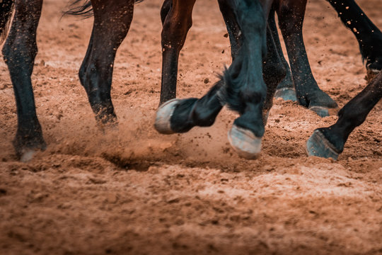 Wild horses galopping wildly in a rodeo show. Details and focus on feet, sand, dust, dirt and motion blur. Blurred bokeh background, warm lighting, shallow depth of field.