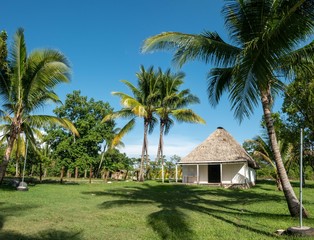 Thatched Roof House and Palm Trees