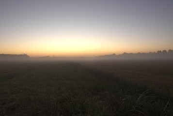 Naklejka na ściany i meble sunrise over a foggy field