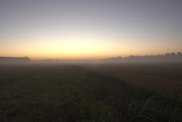 Obraz premium sunrise over a foggy field