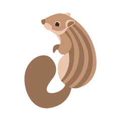  chipmunk vector illustration flat style profile
