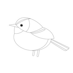  tit bird   vector illustration lining draw  profile side