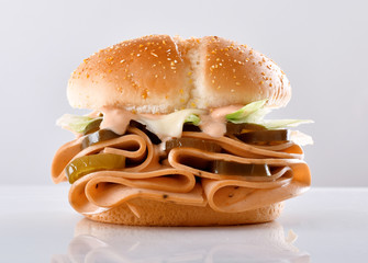 Chicken Bologna Burger © Jehangir Hanafi