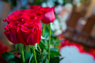 Red rose flowers . Red roses flowers with valentine festival and beautiful blur bouquet background . 8 march
