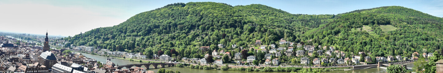 landscape with river Heidelberg