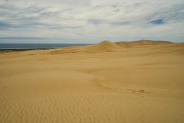 Fototapeta na wymiar Sand dunes on coast