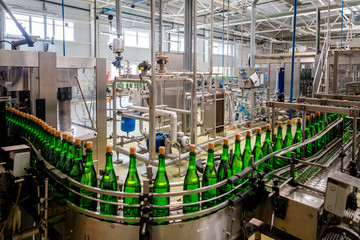 bottles with champagne wine are moving along the conveyor at the factory of grape and sparkling wine