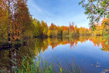 Yellow Orange foliage of trees reflected in the river surface
