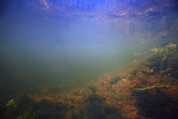 underwater landscape transparent lake / fresh water ecosystem unusual landscape under water