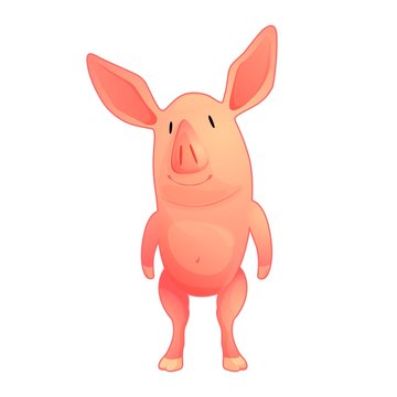pig vector illustration