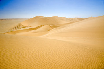 Fototapeta na wymiar Rolling sand dunes of the Namib desert, Namibia.