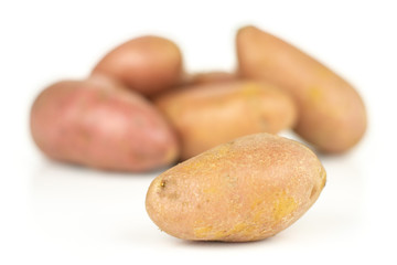 Group of five whole fresh red potato francelina variety one in focus isolated on white background