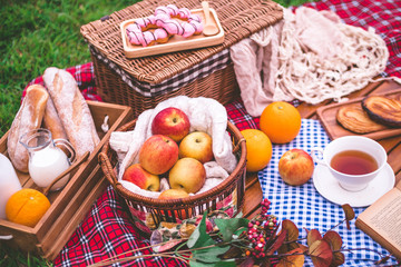 Summer picnic with a basket of food on blanket in the park.