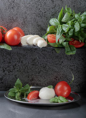Mozzarella with basil and tomatoes .