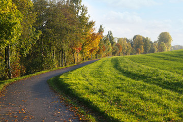 Herbst in Thüringen, Herbstbeginn. Herbstliche Stimmung am Radweg, Feldrand mit Bäumen, bunte...