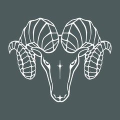 Aries graphic icon. Head ram white sign isolated on gray background. Symbol argali. Vector illustration
