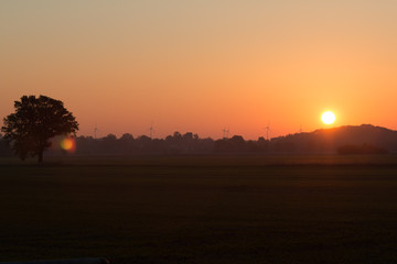 Sunrise in the fog on a field