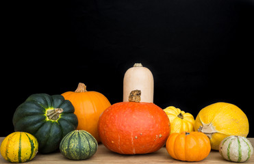A selection of different pumpkins,winter squash and gourds with a black background and copy space.