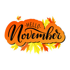 Hello November. Modern autumn hand calligraphy with maple leaves on white background as poster, postcard, card, invitation template. Autumn lettering typography. Concept event advertising. Vector