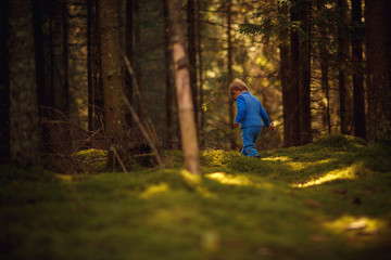 Boy walking in forest
