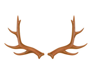 Vector reindeer antlers, deer horns realistic logo