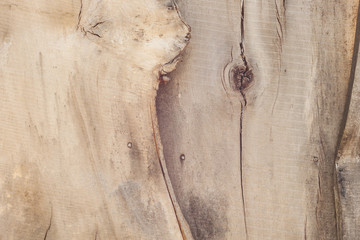 Wooden texture. Fence Close-up