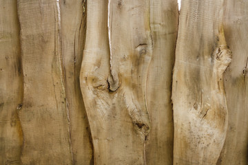 Fence from old wooden boards. Wooden texture. Close-up, Background