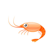 Red shrimp cartoon icon. Seafood clipart isolated on white background