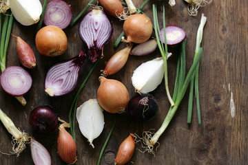 natural organic onions of different varieties