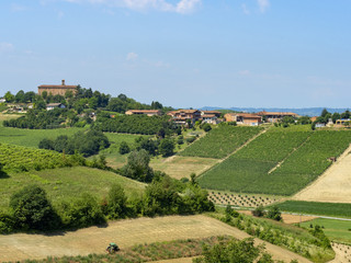 Road to Govone and San Martino Alfieri, Asti, in Monferrato