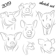 Sketch of pig. Drawing pig and pork. Pig symbol, logo, icon, Contour Design.