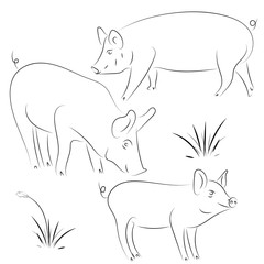 Sketch of pig. Drawing pig and pork. Pig symbol, logo, icon, Contour Design.
