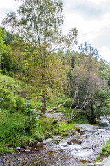 Fototapeta na wymiar Rugged mountain river. Spain
