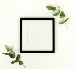 photo frame mock up and eucalyptus branches on white background. Flat lay, top view, , copy space square.