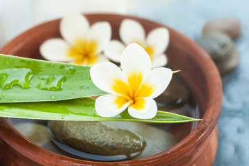 Flowers and leaves on the plate with water and stones for massage treatment
