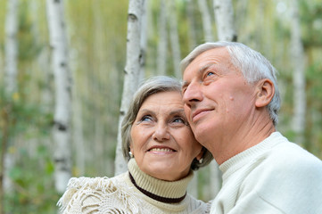 Portrait of old couple at park on autumn background