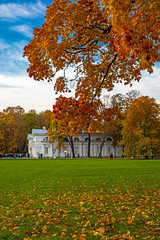 Obraz premium Autumn in the park.