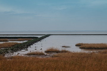 Nordseeküste im Winter