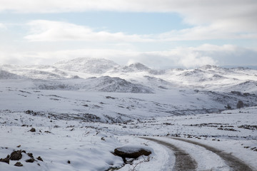 Neve