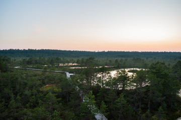 Evening in Viru bog, Estonia