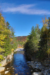 Beautiful Fall colors and fauna of the White Mountain National Forest in New Hampshire, USA