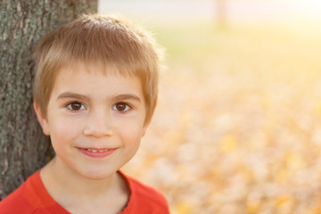 little kid boy on autumn leaves background in park